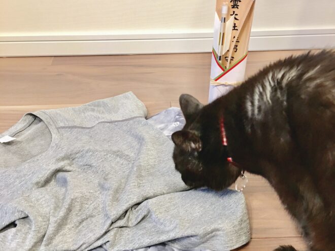 出雲大社東京分祠は六本木